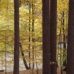 Doubrava
