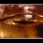 ...J&B...II