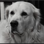 ... tak dělej foť !!