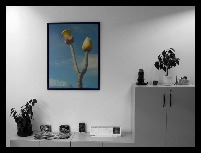 Když v práci zvednu hlavu...