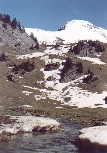 Elsigenalp