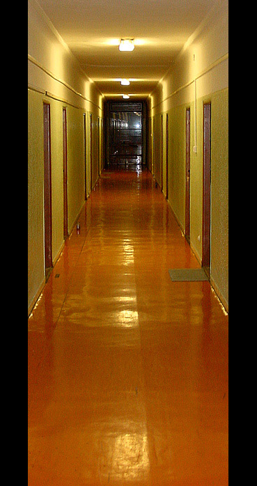 ...červeny koberec...