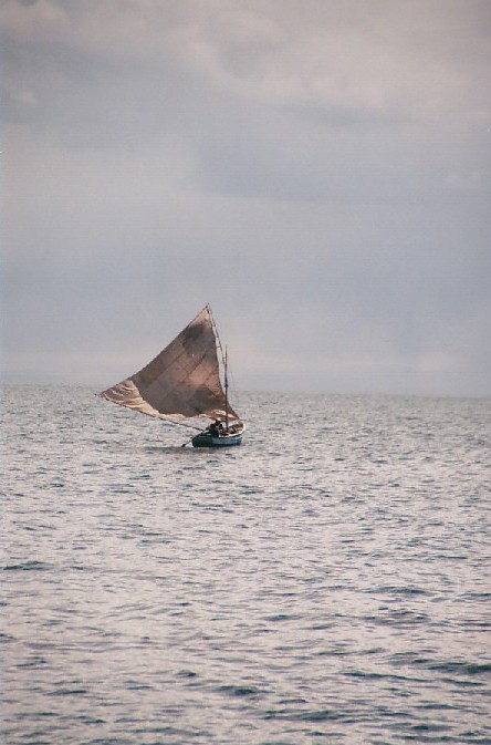 Jedu do samosky koupit ryby.