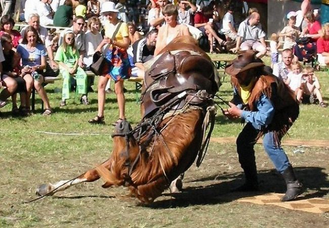 Cowboy a jeho kůň