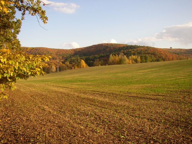 Podzim za Brnem