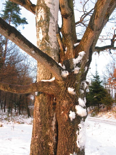 láska na rozcestí  - objetí...