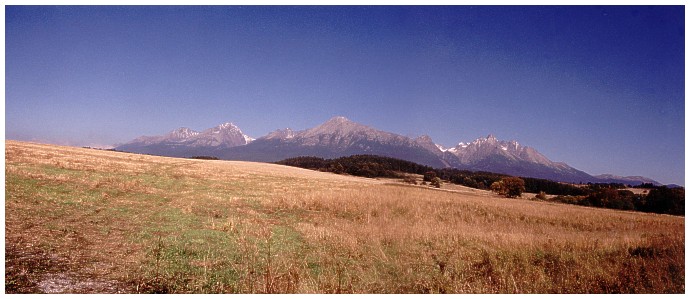 Panorama Tater