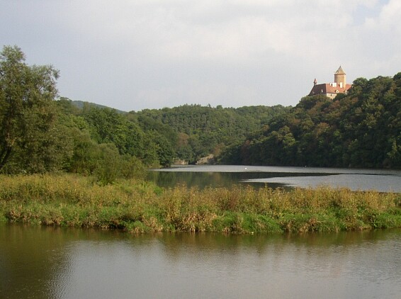 Veveří