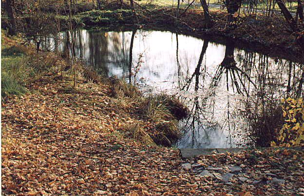 tůňka