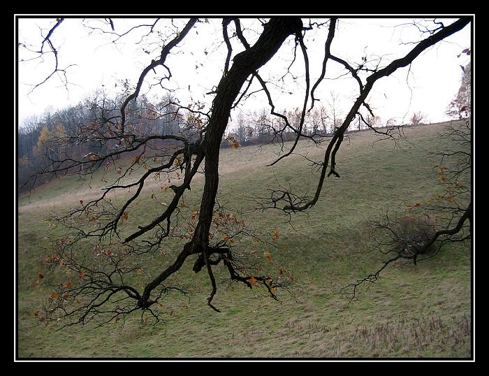 Ruce maticky Zeme...