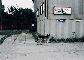 Nepustím Tě tam!