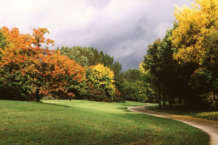 Podzimní park