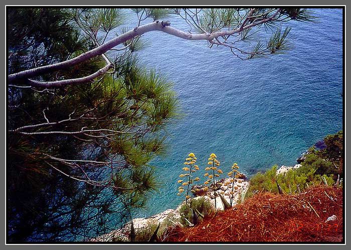Makarska