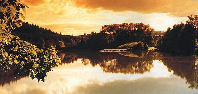 Podvečer u rybníka (oprava)