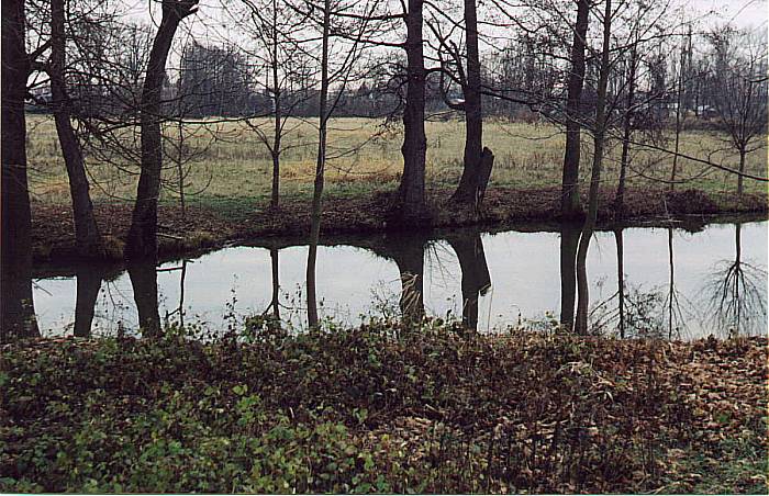 vyčichlý podzim