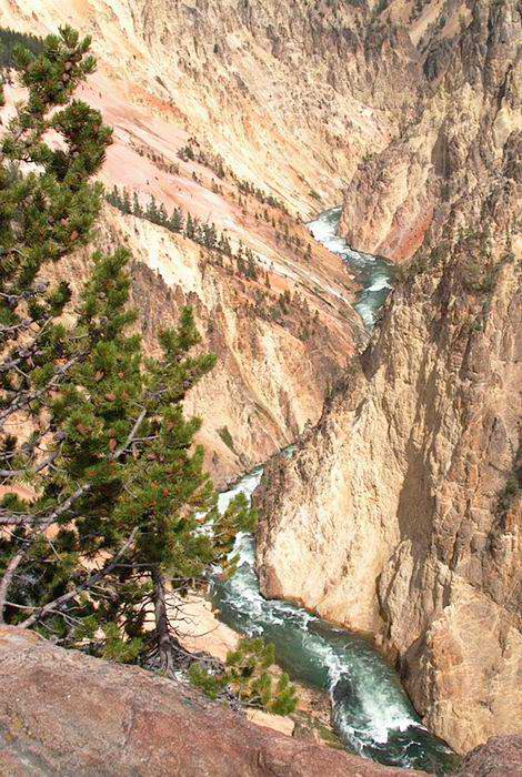 Yellowstone Canyon