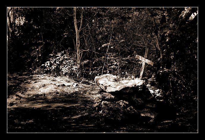 nasli sme Jerryho...