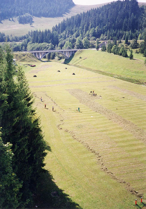 Slovenská sena