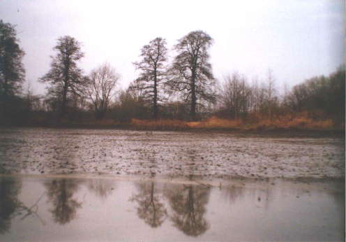 Vypuštěný rybník