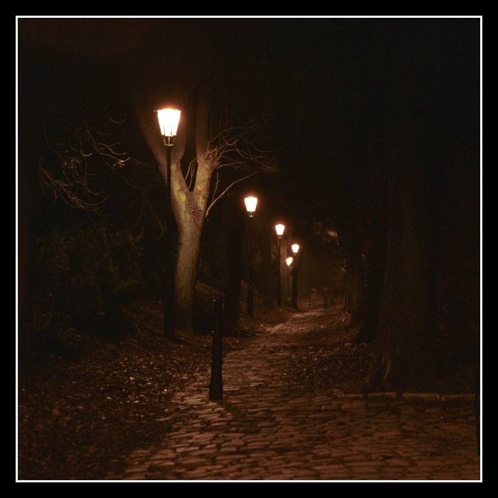 Vyšehrad - noční workshop :-)