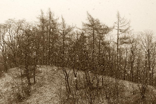 Cesta do školy - L.P.1924