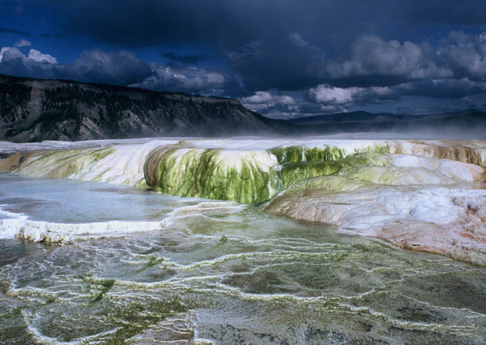 Yellowstone, USA, 2002