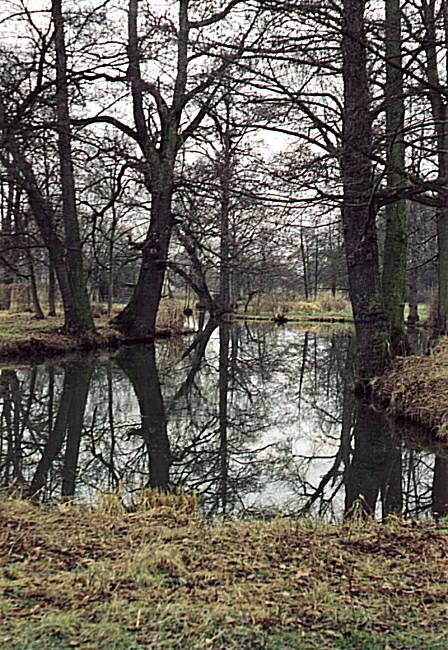 pošmourno