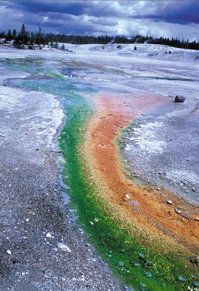 Yellowstone, USA, 2002