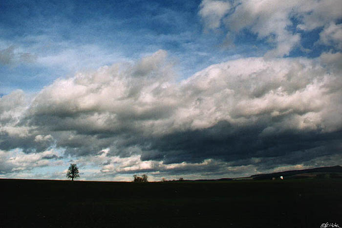 Sněhový mrak