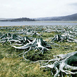 Křímov,Krušne Hory