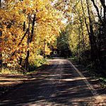 podzim na cestě ? nebo cesta u