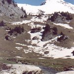 Elsigenalp