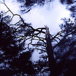 podvečerní uragán...