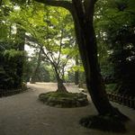 Parky 4 - poklid