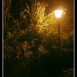 Aladinova lampa