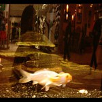 Klid ve zmatku velkoměsta