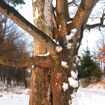 láska na rozcestí  - objetí...