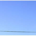 the last lastovička