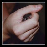 (Ruka a) Nemocná myška III