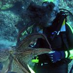 nevydařená schůzka