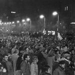 Sametová revoluce VIII.