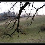 Ruce maticky Zeme...