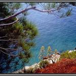 Makarska