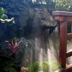 Botanicka Zahrada Wash.DC