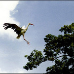 Dokonalé přistání