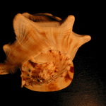 vzpomínka na Jadran ...