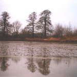 Vypuštěný rybník