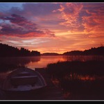 jediný ranní úlovek