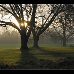 Podvečer na golfovém hřišti