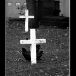 sraz je tam - olsany